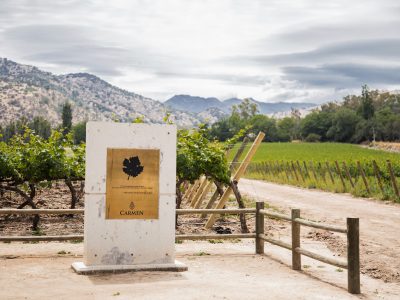 Día del Carmenere