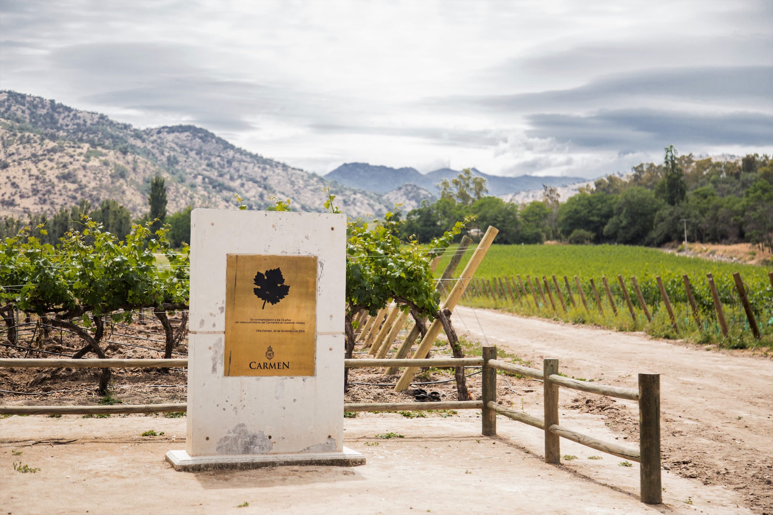 Día del Carmenere