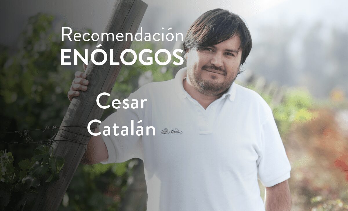 Enólogo Cesar Catalán